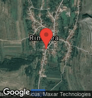 Google Static Map