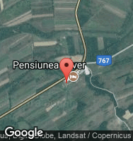Google Static Map