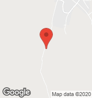 Google Static Map