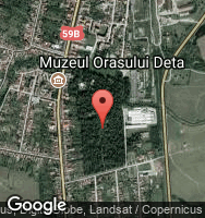 Google Static Map