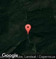 Google Static Map