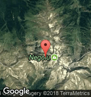 Google Static Map