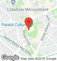 Google Static Map