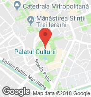 Google Static Map