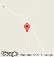 Google Static Map