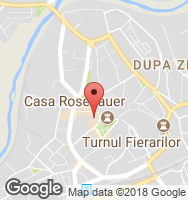 Google Static Map