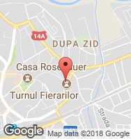 Google Static Map