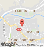 Google Static Map