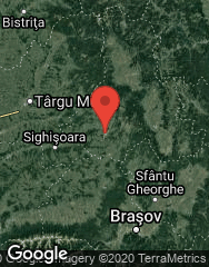 Google Static Map