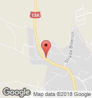 Google Static Map