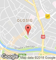 Google Static Map