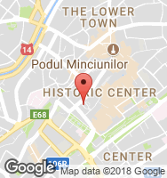 Google Static Map