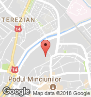 Google Static Map