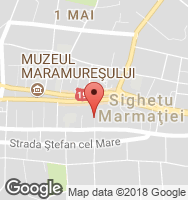 Google Static Map