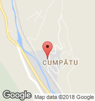 Google Static Map