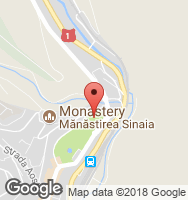 Google Static Map