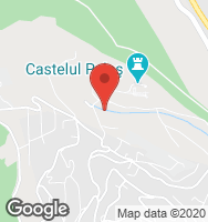 Google Static Map