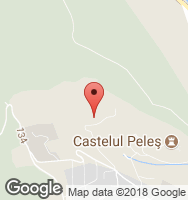 Google Static Map