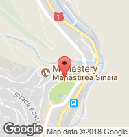 Google Static Map