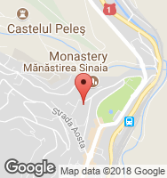 Google Static Map