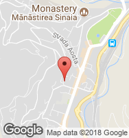 Google Static Map