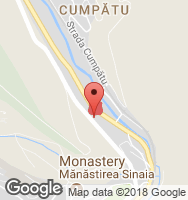 Google Static Map