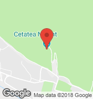 Google Static Map