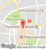 Google Static Map