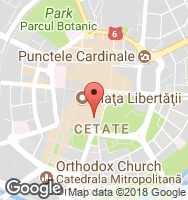 Google Static Map