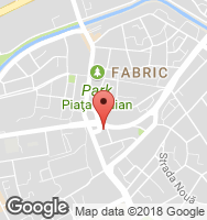 Google Static Map