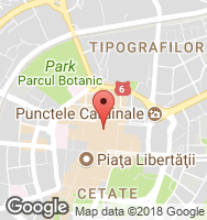 Google Static Map