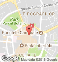 Google Static Map