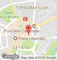 Google Static Map