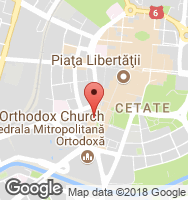 Google Static Map