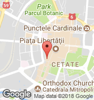 Google Static Map