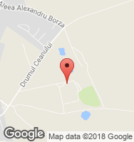 Google Static Map