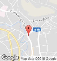 Google Static Map
