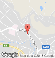 Google Static Map