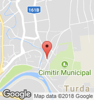 Google Static Map