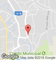 Google Static Map