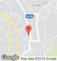 Google Static Map