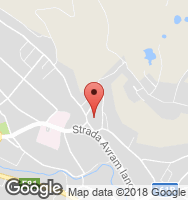Google Static Map