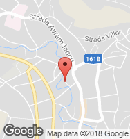 Google Static Map