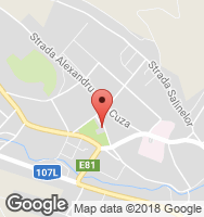 Google Static Map