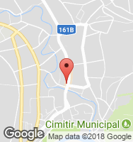 Google Static Map