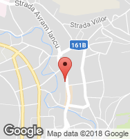 Google Static Map
