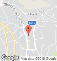 Google Static Map