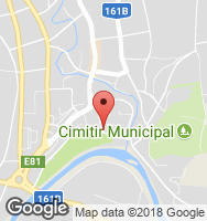 Google Static Map