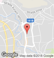 Google Static Map