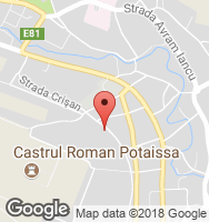 Google Static Map